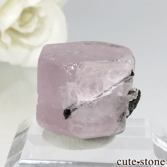 ѥ 뻺 ԥ󥯥ѥȡ֥åȥޥη뾽ʸС 11.8gμ̿2 cute stone