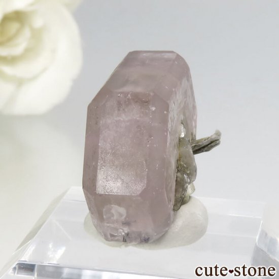 ѥ 뻺 ԥ󥯥ѥȡ⥹ХȡͥåȤη뾽ʸС 7.8gμ̿0 cute stone