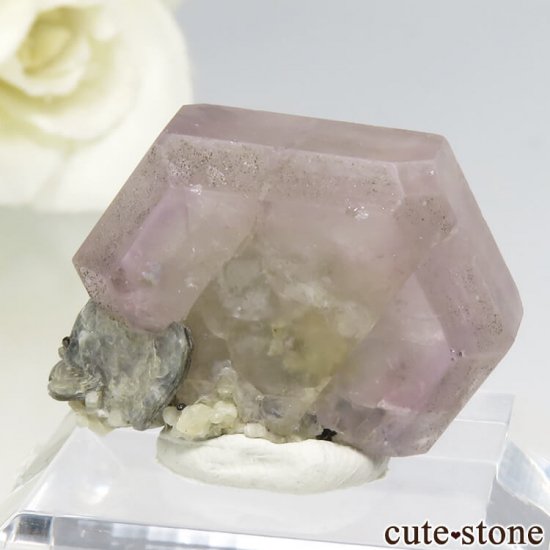 ѥ 뻺 ԥ󥯥ѥȡ⥹ХȡͥåȤη뾽ʸС 7.8gμ̿1 cute stone