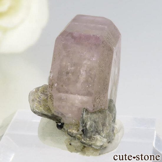 ѥ 뻺 ԥ󥯥ѥȡ⥹ХȡͥåȤη뾽ʸС 7.8gμ̿2 cute stone