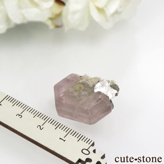 ѥ 뻺 ԥ󥯥ѥȡ⥹ХȡͥåȤη뾽ʸС 7.8gμ̿3 cute stone