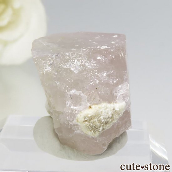 ѥ 뻺 ԥ󥯥ѥȤη뾽ʸС 9.6gμ̿0 cute stone