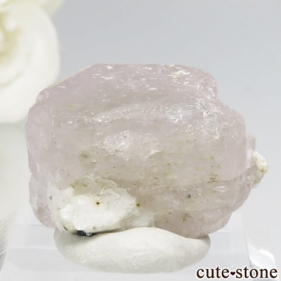 ѥ 뻺 ԥ󥯥ѥȤη뾽ʸС 9.6gμ̿1 cute stone