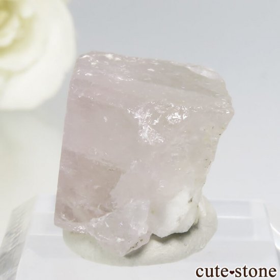 ѥ 뻺 ԥ󥯥ѥȤη뾽ʸС 9.6gμ̿2 cute stone