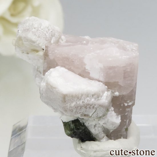 ѥ 뻺 ԥ󥯥ѥȤη뾽ʸС 7.6gμ̿0 cute stone