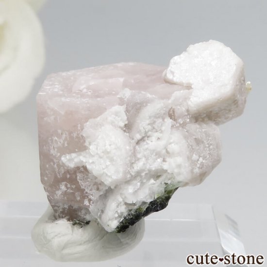 ѥ 뻺 ԥ󥯥ѥȤη뾽ʸС 7.6gμ̿2 cute stone