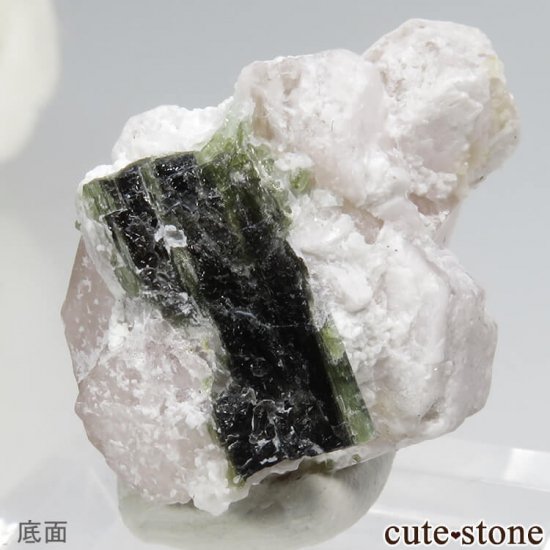 ѥ 뻺 ԥ󥯥ѥȤη뾽ʸС 7.6gμ̿3 cute stone