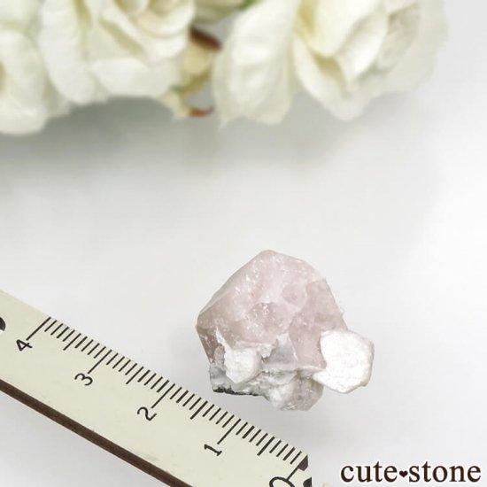 ѥ 뻺 ԥ󥯥ѥȤη뾽ʸС 7.6gμ̿4 cute stone