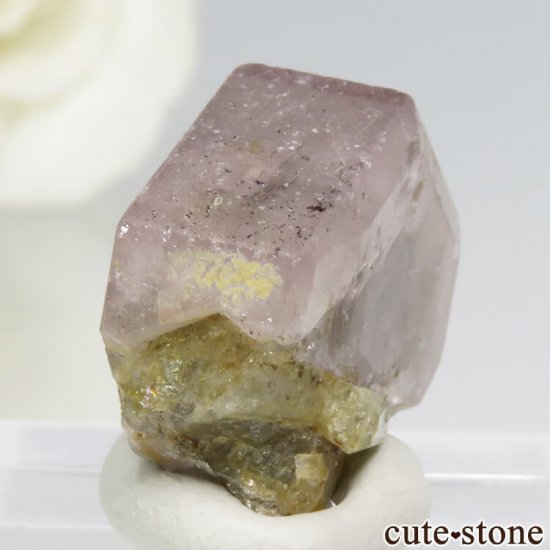 ѥ 뻺 ԥ󥯥ѥȤη뾽ʸС 4.3gμ̿0 cute stone