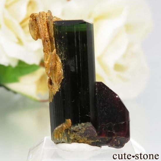 【パキスタン産】グリーントルマリン結晶 パキスタン Chapo mine産 グリーントルマリン＆クォーツの原石