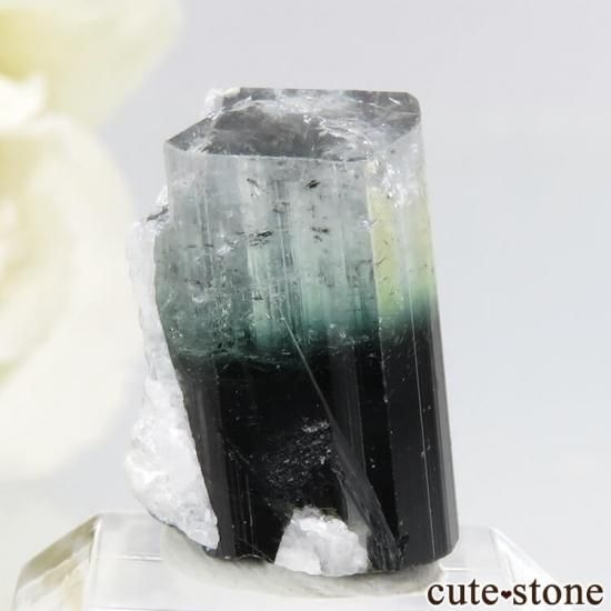 ѥ ɥ ֥롼ȥޥη뾽 3.3gμ̿0 cute stone