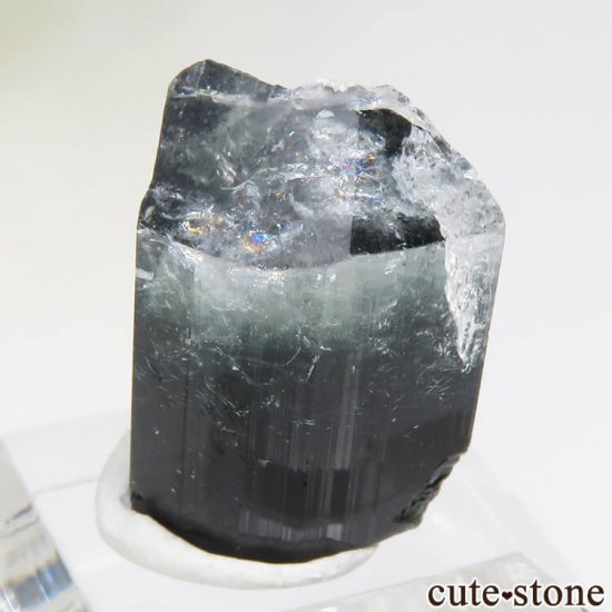 ѥ ɥ ֥롼ȥޥη뾽 3.3gμ̿3 cute stone