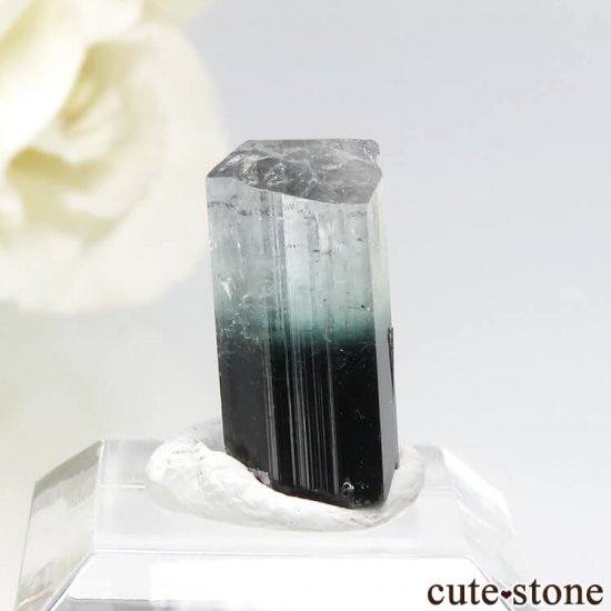 ѥ ɥ ֥롼ȥޥη뾽 1.6gμ̿0 cute stone
