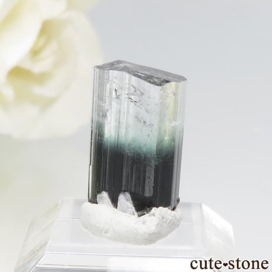 ѥ ɥ ֥롼ȥޥη뾽 1.6gμ̿1 cute stone