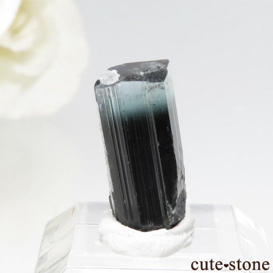 ѥ ɥ ֥롼ȥޥη뾽 1gμ̿0 cute stone