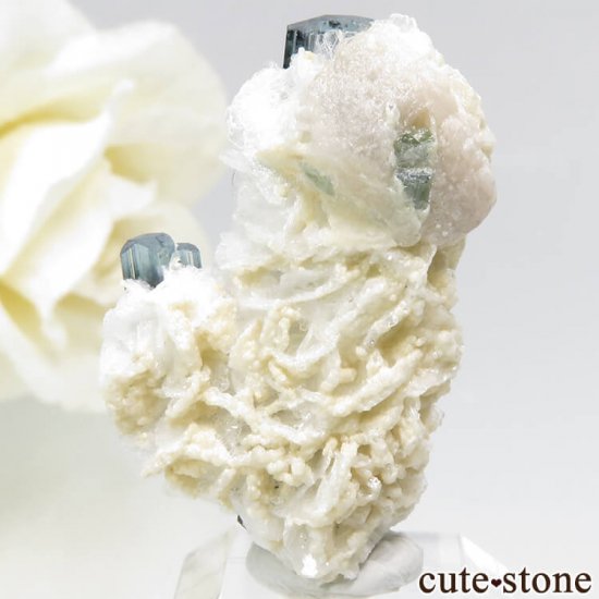 ѥ ɥ ֥롼ȥޥη뾽 7.2gμ̿2 cute stone