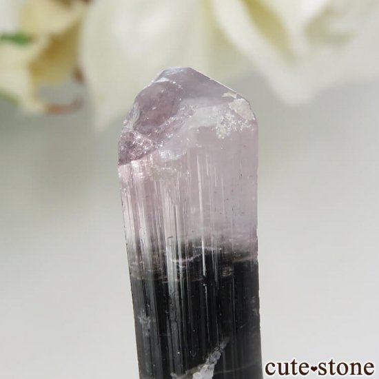 ѥ ɥ ԥ󥯥ȥޥη뾽 2.3gμ̿3 cute stone