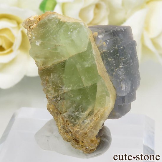 ѥ 뻺 ֥롼ߥ꡼ե饤Ȥη뾽ʸС 31.2gμ̿0 cute stone