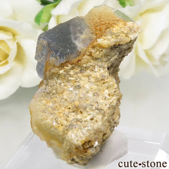 ѥ 뻺 ֥롼ߥ꡼ե饤Ȥη뾽ʸС 31.2gμ̿1 cute stone