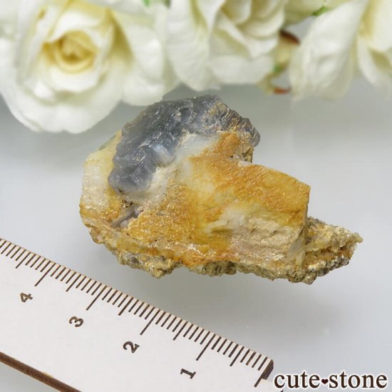 ѥ 뻺 ֥롼ߥ꡼ե饤Ȥη뾽ʸС 31.2gμ̿2 cute stone