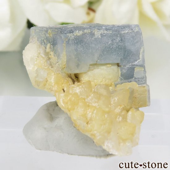 ѥ 뻺 ֥롼ߥ꡼ե饤ȡĤη뾽ʸС 9.8gμ̿0 cute stone