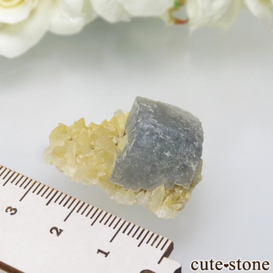ѥ 뻺 ֥롼ߥ꡼ե饤ȡĤη뾽ʸС 9.8gμ̿3 cute stone