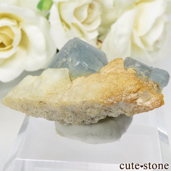 ѥ 뻺 ֥롼ߥ꡼ե饤Ȥη뾽ʸС 18gμ̿0 cute stone