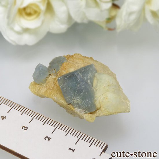 ѥ 뻺 ֥롼ߥ꡼ե饤Ȥη뾽ʸС 18gμ̿3 cute stone