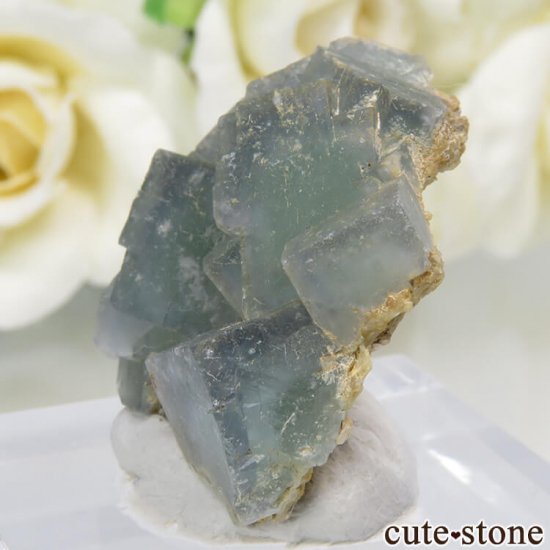 ѥ 뻺 ֥롼ߥ꡼ե饤Ȥη뾽ʸС 11.3gμ̿2 cute stone
