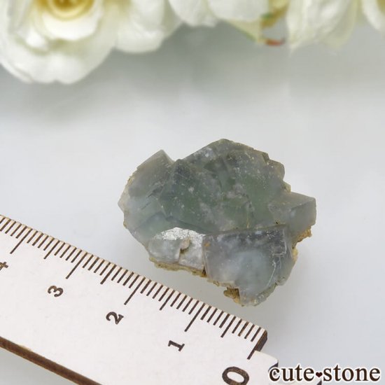 ѥ 뻺 ֥롼ߥ꡼ե饤Ȥη뾽ʸС 11.3gμ̿3 cute stone