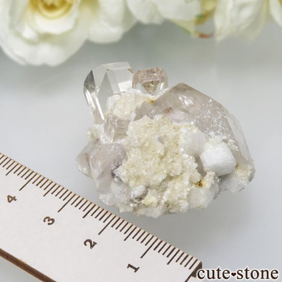 ѥ 뻺 ȥѡĤդ뾽ʸС 29gμ̿5 cute stone