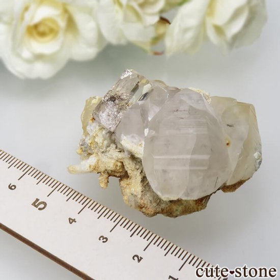 ѥ 뻺 ȥѡĤդ뾽ʸС 58.1gμ̿5 cute stone