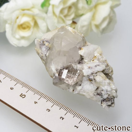 ѥ 뻺 ȥѡĤդ뾽ʸС 78gμ̿5 cute stone