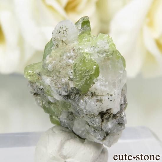 ѥ Tormiq valley եդ뾽ʸС 2.4gμ̿1 cute stone