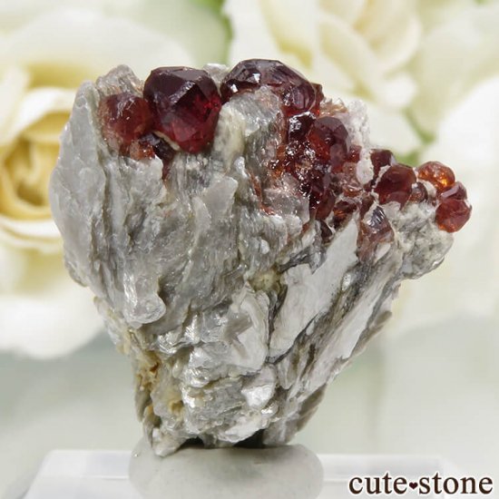 ѥ ڥƥ󥬡ͥåȡ⥹ХȡʸС8.5gμ̿0 cute stone