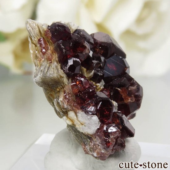 ѥ ڥƥ󥬡ͥåȡ⥹ХȡʸС4.8gμ̿0 cute stone