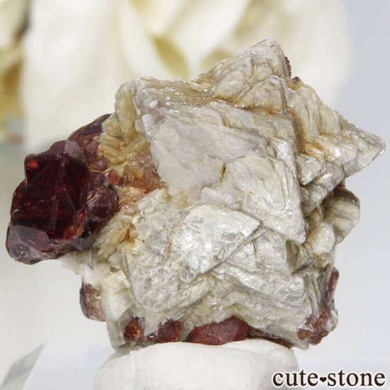 ѥ ڥƥ󥬡ͥåȡ⥹ХȡʸС4.8gμ̿1 cute stone