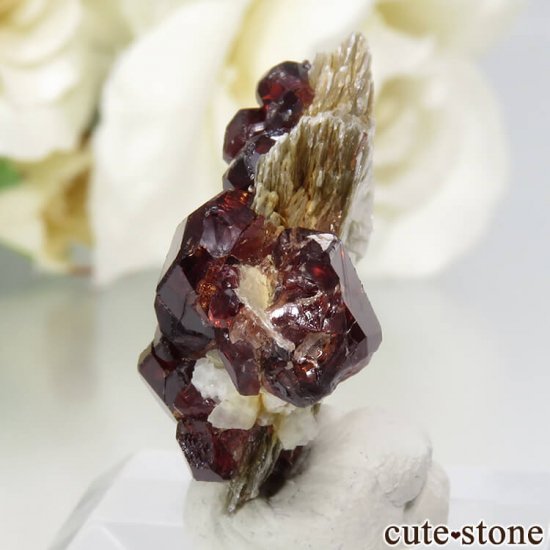 ѥ ڥƥ󥬡ͥåȡ⥹ХȡʸС4.8gμ̿2 cute stone