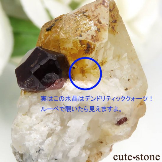 パキスタン産 スペサルティンガーネット＆クォーツ（原石）6.5gの写真0 cute stone