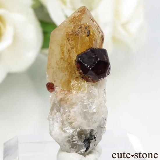 ѥ ڥƥ󥬡ͥåȡġʸС6.5gμ̿1 cute stone