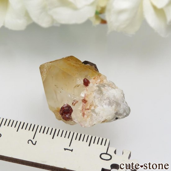 ѥ ڥƥ󥬡ͥåȡġʸС6.5gμ̿3 cute stone