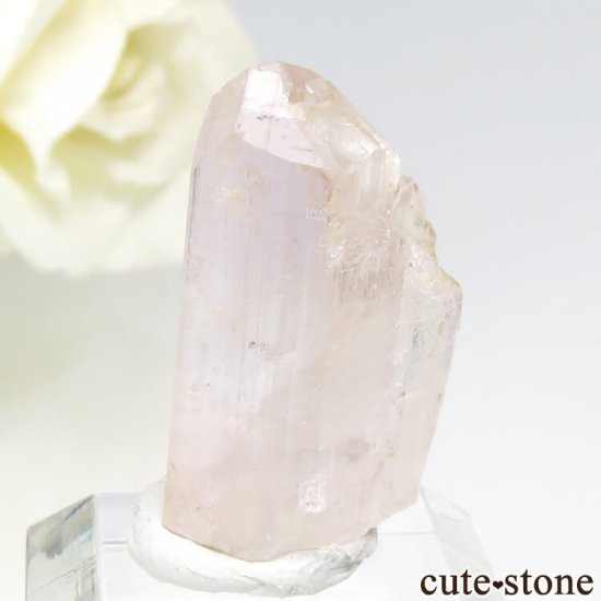 ѥ åȥ ԥ󥯥ȥѡ (ڥꥢȥѡ)η뾽 () 3.9gμ̿2 cute stone