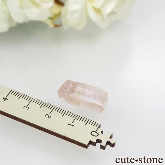 ѥ åȥ ԥ󥯥ȥѡ (ڥꥢȥѡ)η뾽 () 3.9gμ̿3 cute stone