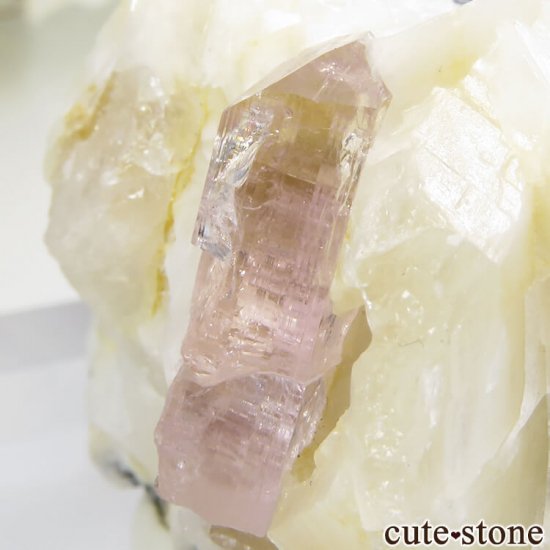 ѥ åȥ ԥ󥯥ȥѡ (ڥꥢȥѡ)դ뾽 () 90gμ̿2 cute stone