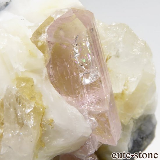 ѥ åȥ ԥ󥯥ȥѡ (ڥꥢȥѡ)դ뾽 () 90gμ̿3 cute stone