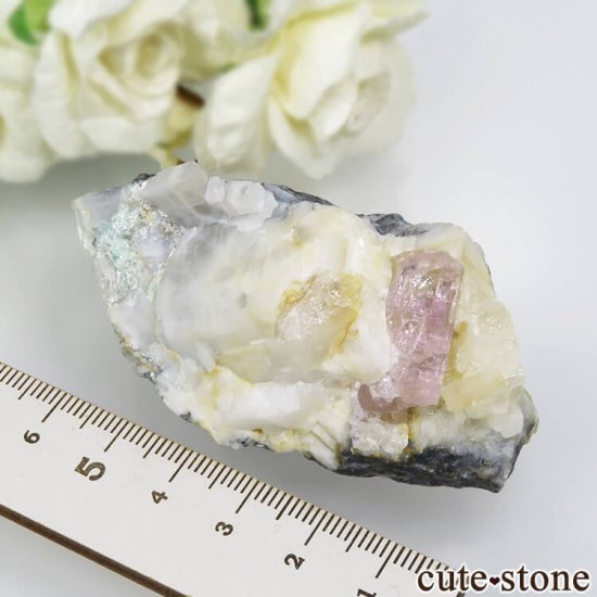 ѥ åȥ ԥ󥯥ȥѡ (ڥꥢȥѡ)դ뾽 () 90gμ̿5 cute stone