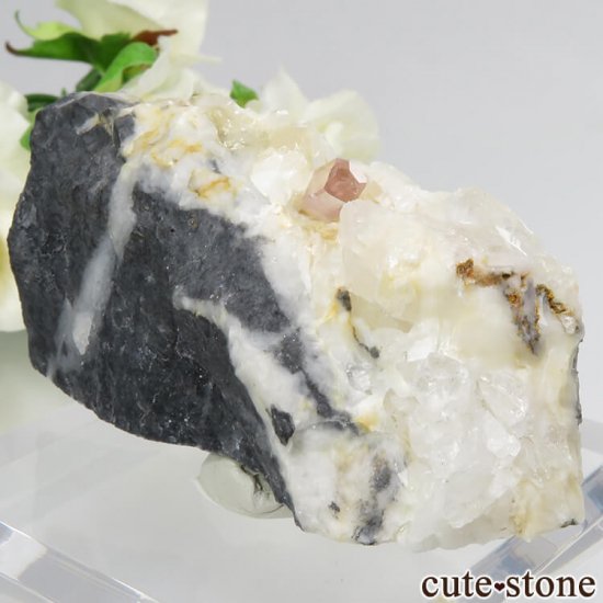 ѥ åȥ ԥ󥯥ȥѡ (ڥꥢȥѡ)դ뾽 () 85gμ̿0 cute stone