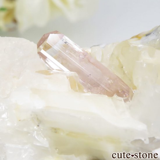 ѥ åȥ ԥ󥯥ȥѡ (ڥꥢȥѡ)դ뾽 () 85gμ̿2 cute stone