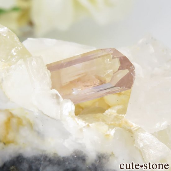 ѥ åȥ ԥ󥯥ȥѡ (ڥꥢȥѡ)դ뾽 () 85gμ̿4 cute stone