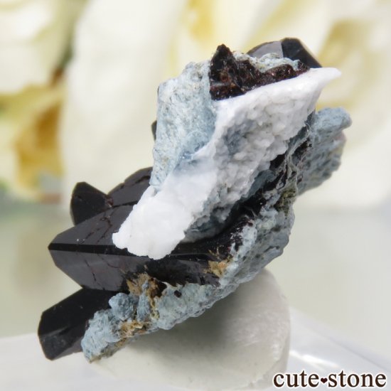 ե˥ ٥˥ȥȡͥץʥȤդ뾽ʸС4.3gμ̿1 cute stone